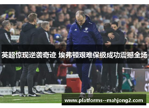 英超惊现逆袭奇迹 埃弗顿艰难保级成功震撼全场