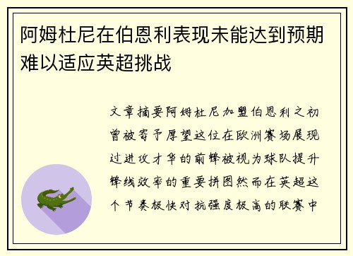 阿姆杜尼在伯恩利表现未能达到预期难以适应英超挑战 阿姆杜尼在伯恩利表现未能达到预期难以适应英超挑战