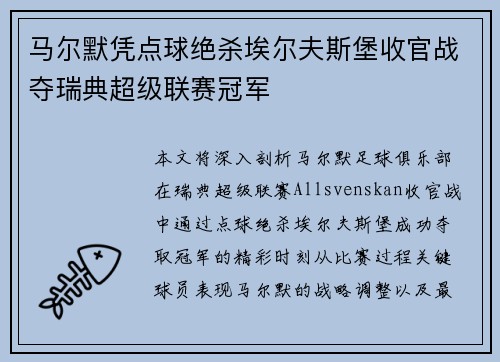 马尔默凭点球绝杀埃尔夫斯堡收官战夺瑞典超级联赛冠军